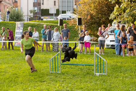 Pasji športni dan_6. 8. 2025 (26)